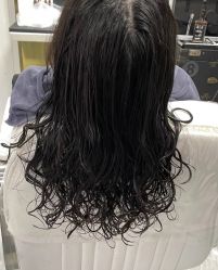 -艺之剪