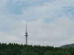 -琴岛之星摩天轮