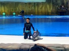 -华夏文旅海洋公园