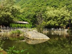 -灵溪风景区