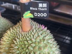 -榴莲BB 四季果园