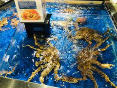 -盒马鲜生(和谐广场店)