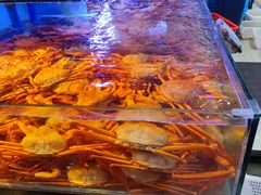 -驻海渔市(置信店)