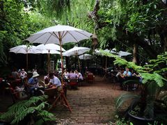 -Fern Forest Cafe