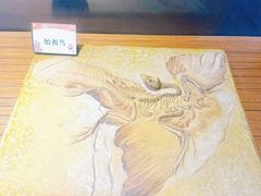 -六合国家地质公园桂子山景区