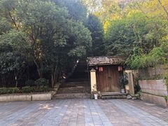 -云碧峰国家森林公园