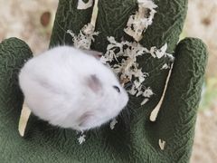 -怪兽屋·羊驼·猫咖·狗咖(俊华广场店)