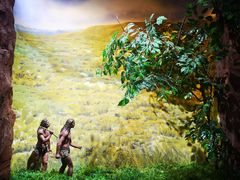 -迪庆藏族自治州博物馆