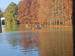 -上海海湾国家森林公园