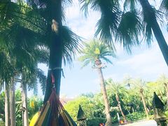 -厦门日月谷温泉渡假村