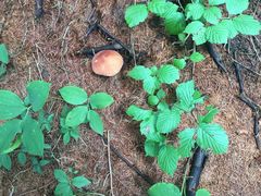 -丹东天桥沟景区