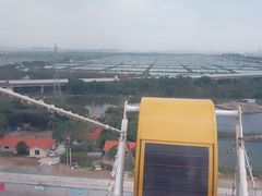 -百万葵园