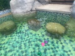 -北京乐多港万豪酒店汤乐宫温泉