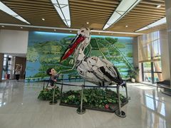 -同里国家湿地公园