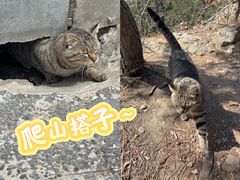 -棒棰岛宾馆景区