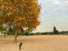 -汉长安城未央宫国家考古遗址公园