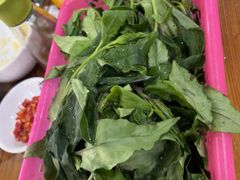 -15年老字号鑫鑫猪肚鸡·椰子鸡海南火锅(兴隆华侨农场店)