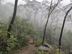 -大岭沟猕猴桃谷风景区