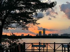 -海珠湖公园