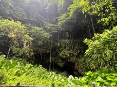 -海口火山口国家地质公园