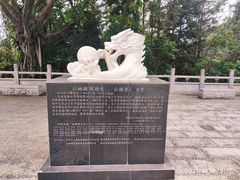 -深圳仙湖植物园