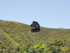 -萍乡武功山风景名胜区