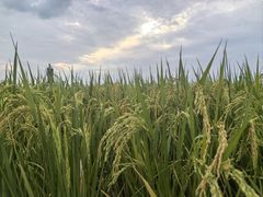 -中国天府农业博览园