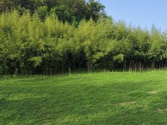 -良渚古城遗址公园