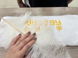 -进巍美甲美睫店