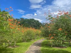 -中国科学院西双版纳热带植物园