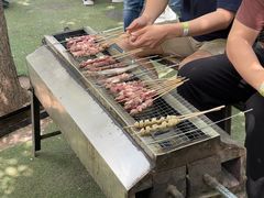 -尚庄度假村·庭台树下·户外烧烤·团建CS·轰趴营地(上庄水库店)