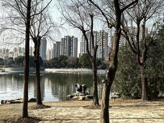 -南翔镇银翔湖公园
