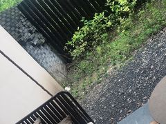 -上海崇明金茂凯悦酒店