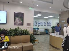 -美联众合动物医院·24h转诊中心