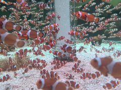-海合安成都极地海洋公园