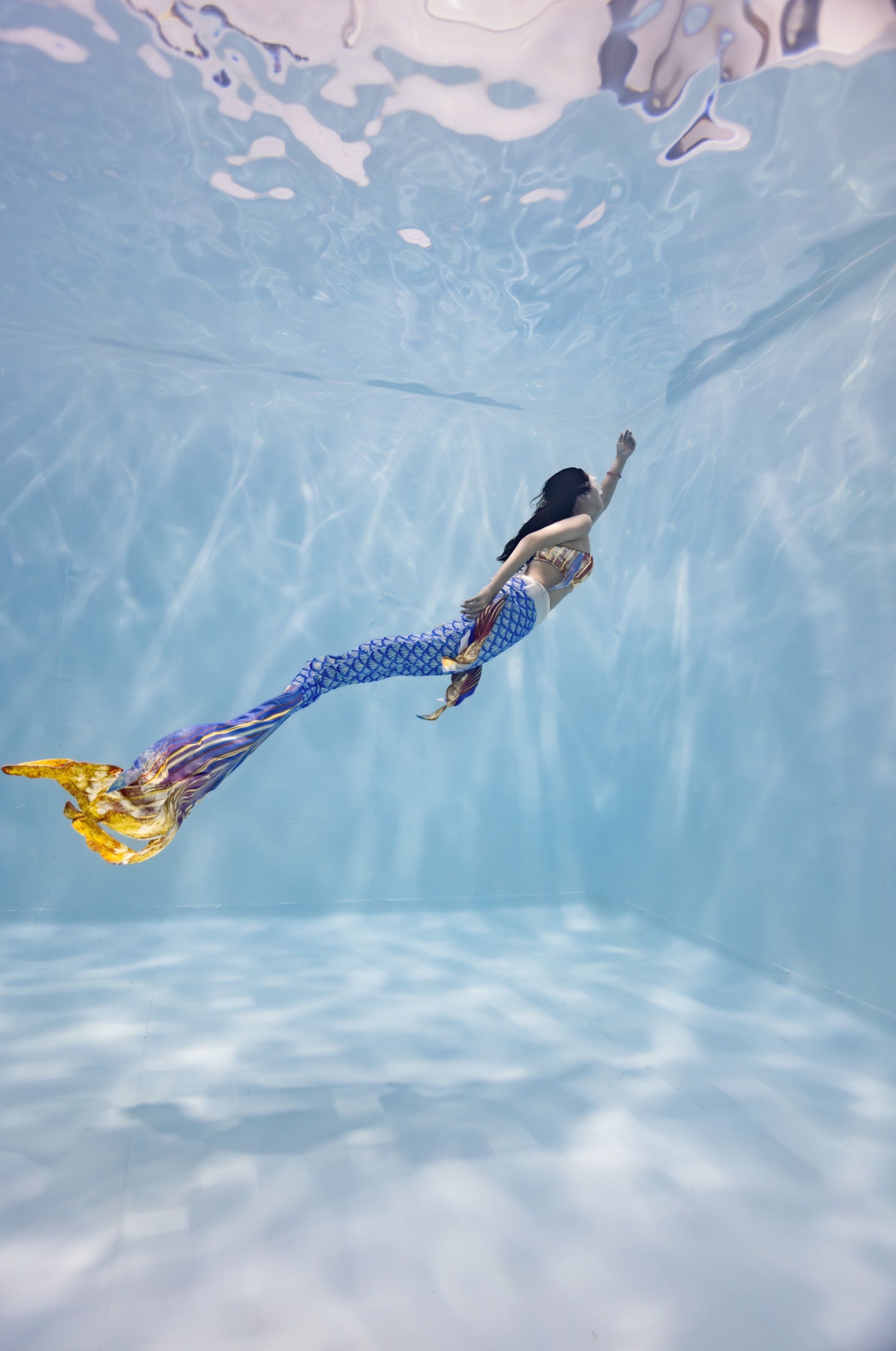 你可以成为任何一切,包括美人鱼🧜‍♀️