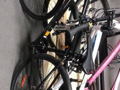 -道路口单车爱瓦士dahon大行