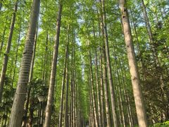 -上海怡沁园度假酒店