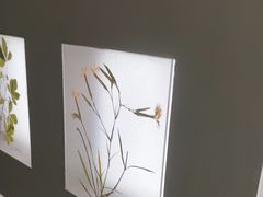 -予厘·推拿按摩·精油SPA(憩舍长安店)