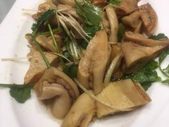 鲨鱼-金满楼(天河中路店)
