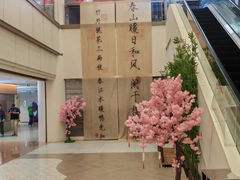 -友谊新天地广场(金街店)