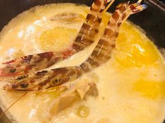 鲜活斑节虾-鲜入围煮花胶鸡海鲜火锅