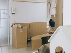 -鼓捣猫呢主题猫咖店