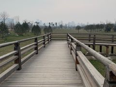 -汉长安城未央宫国家考古遗址公园