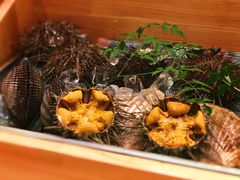 海膽-希望日本料理(保利香槟花园店)