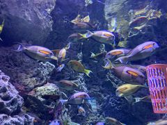 -成都浩海立方海洋公园