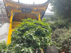 -泸州老窖景区
