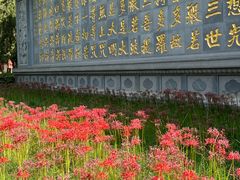 -西安大兴善寺