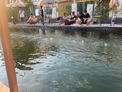 -DGE季风钓虾营地·团建·聚会