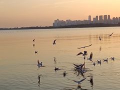 -深圳湾公园(南山区)